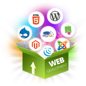 web development